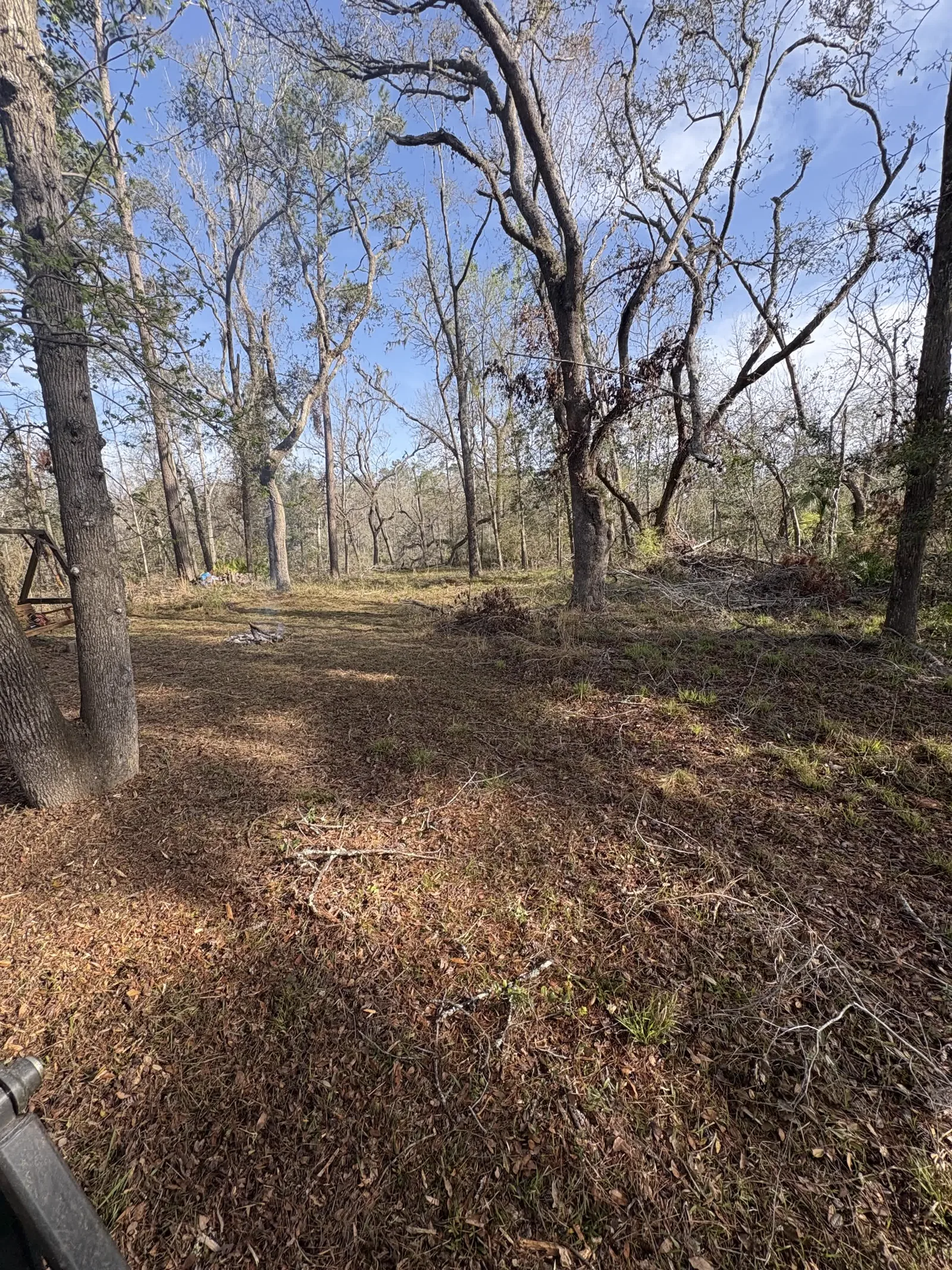 Underbrush cleared and mature oaks kept on an Alachua County FL land clearing job